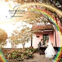 Amy & Adam